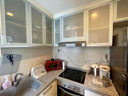 Sunshine Regency (D15), Apartment #460811221